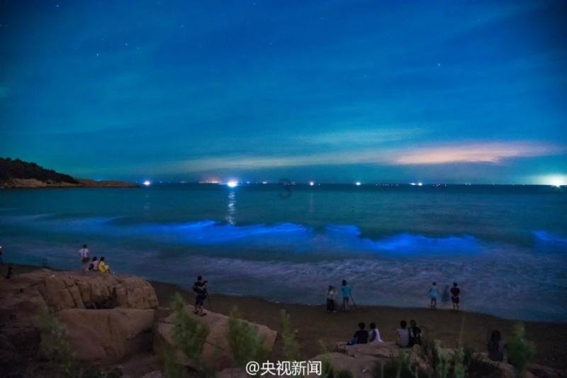 真心爱一个人是怎么样的游戏画面