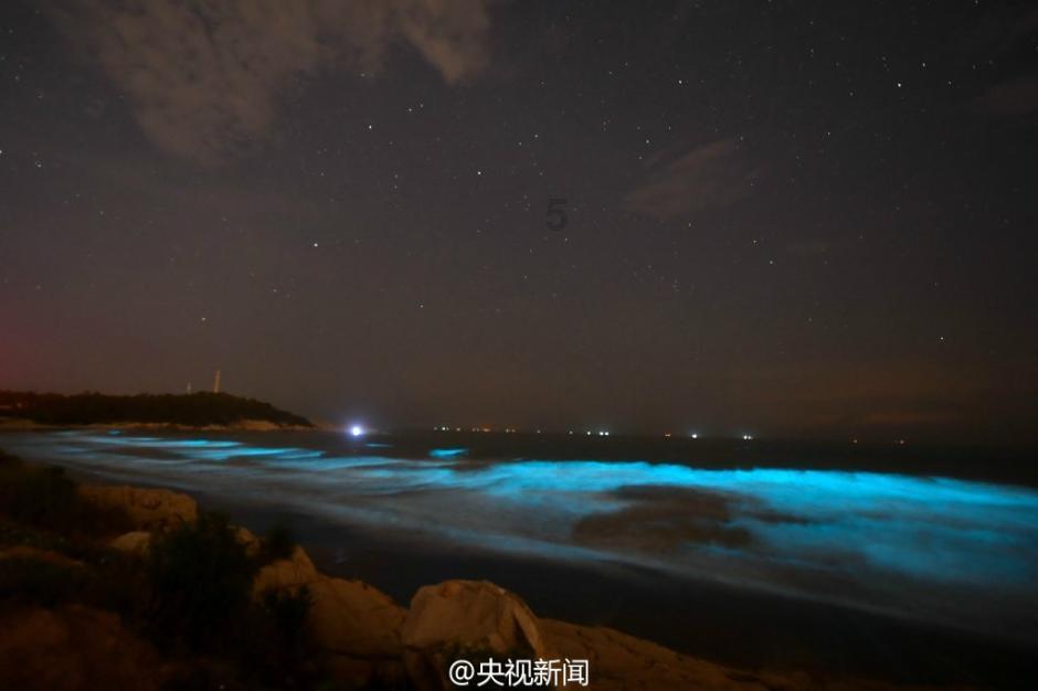 苏菲亚安伯时装秀