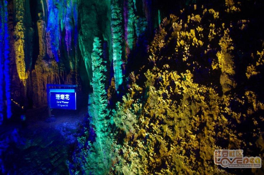 善睐物联:物联网卡流量套餐详解——助力连接智能设备高效运行