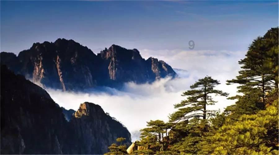 霍英东与何鸿燊:同为顶级富豪,为何他们后代的口碑不同?