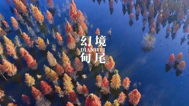 当年阿里的前台，马云给她0.2%的股份，20年过去她怎样了？
