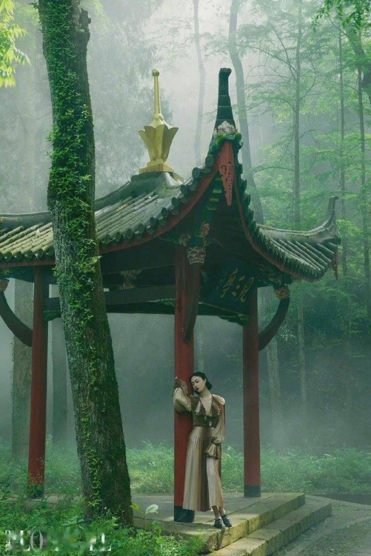 88影视