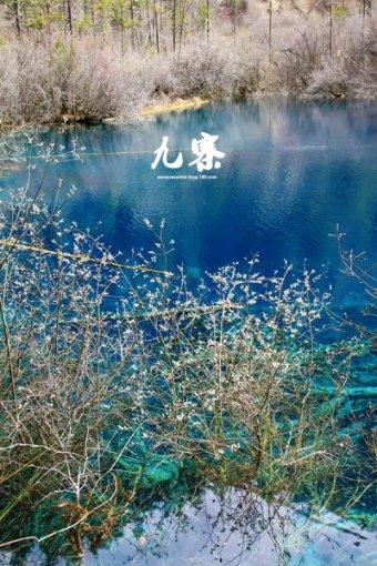 新年“热”消费,山西晋城:新年蒸枣糕,年味渐浓