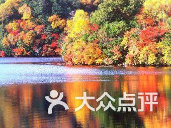 学法时习之|2月起,这些新规将影响你我生活