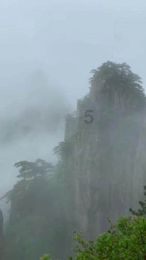 月光影视