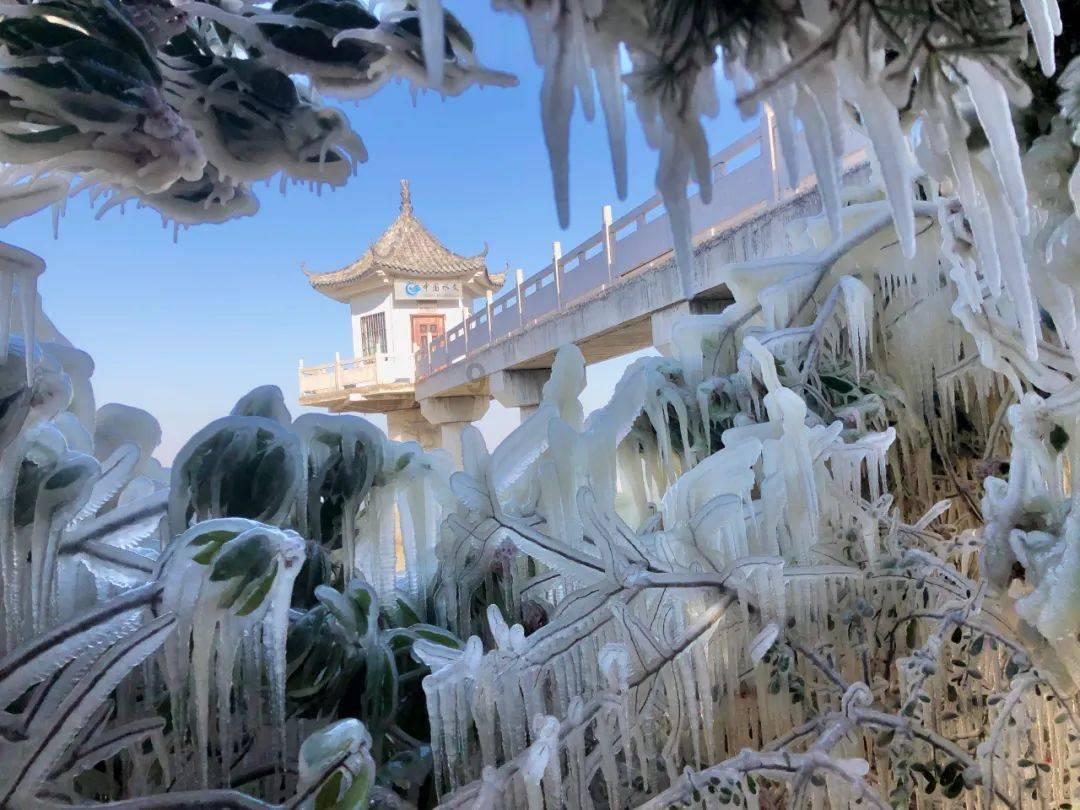 沪江开心词场