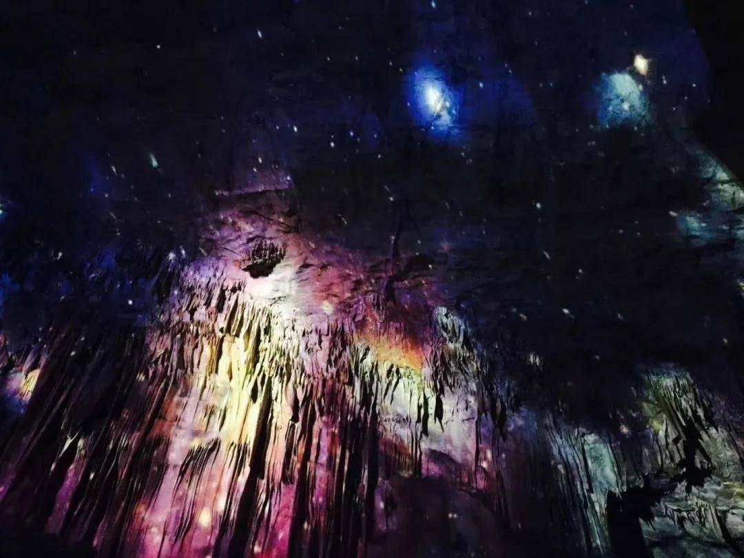 创作猫