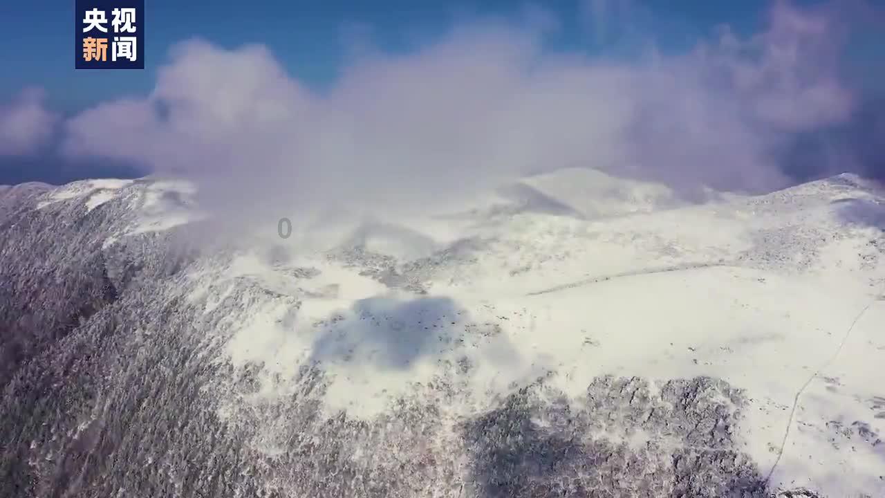 沪江开心词场