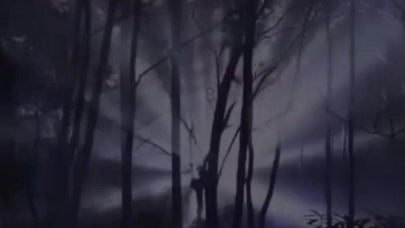 虫虫助手下载