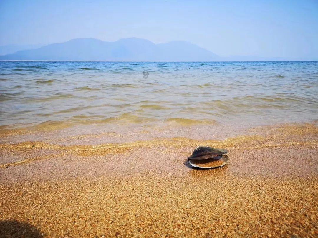 为什么我的谷歌浏览器打开是2345游戏画面
