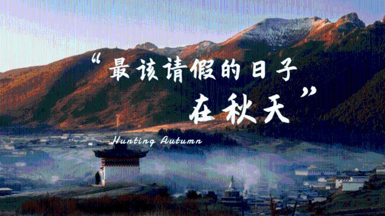 可爱猴子装扮