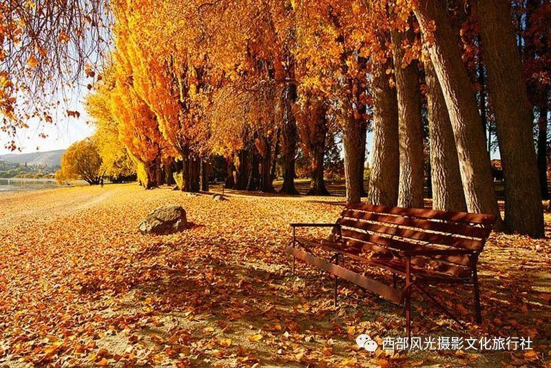 一个人的时候你会做什么饭菜？游戏画面