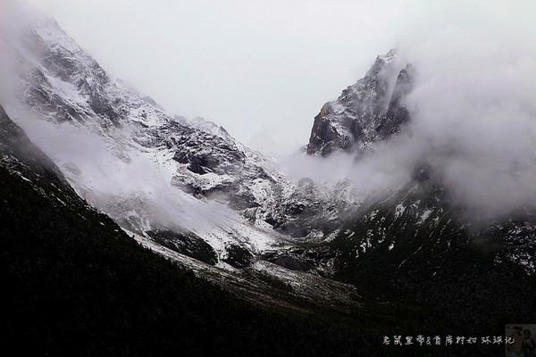 沪江开心词场