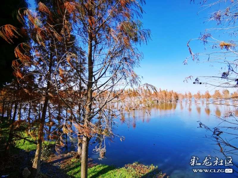 孤岛先锋