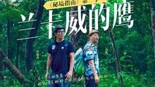 泰山队的8位外援引发羡慕!京沪3队白搭了,冠军毫无悬念