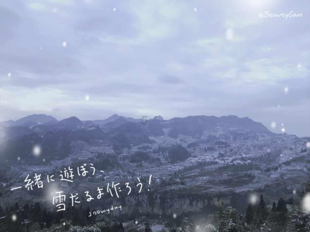 高龄试管：卵少到底要不要养囊？