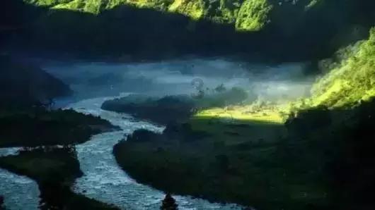 动物帮帮忙保卫家园