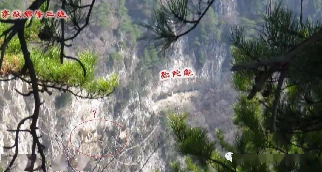 新老玩家争相入局，跑腿赛道再燃战火