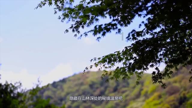 蓝狐视频