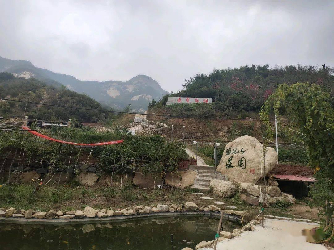 深海鱼救援