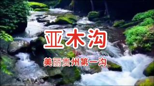 花群中的女孩