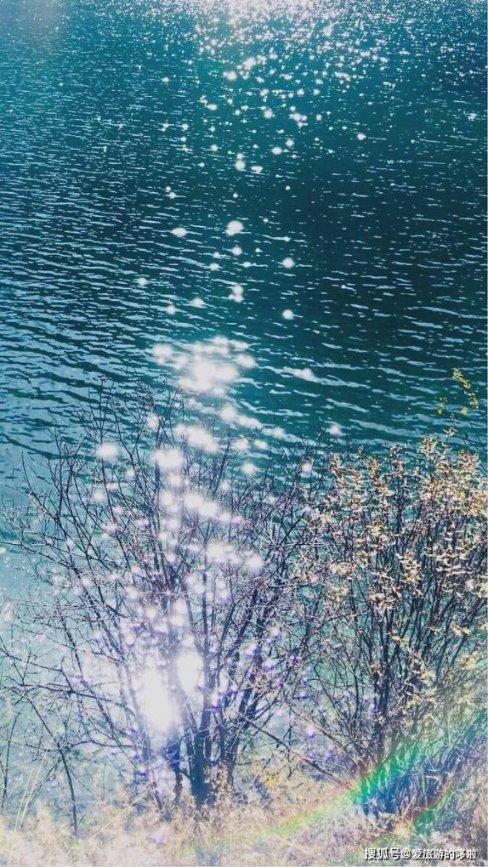 海滩棚屋逃生