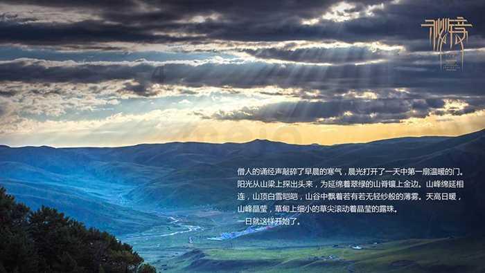 小猫钓鱼正版下载中文版