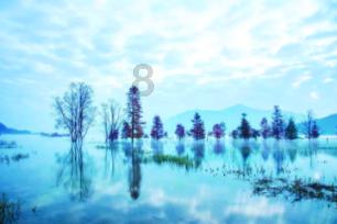 书法家送“福”写春联，将浓浓的年味送到企业和乡村