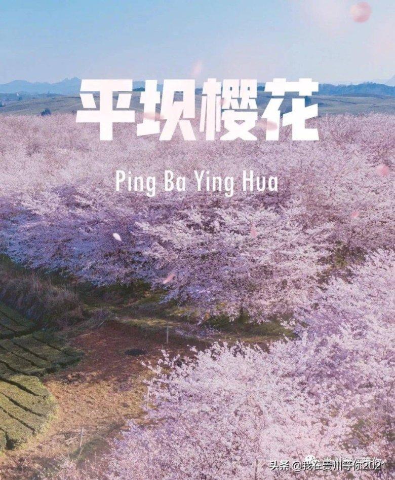 林志颖车祸施救者5人，可能获赠上百万奖金，你怎么看？游戏画面