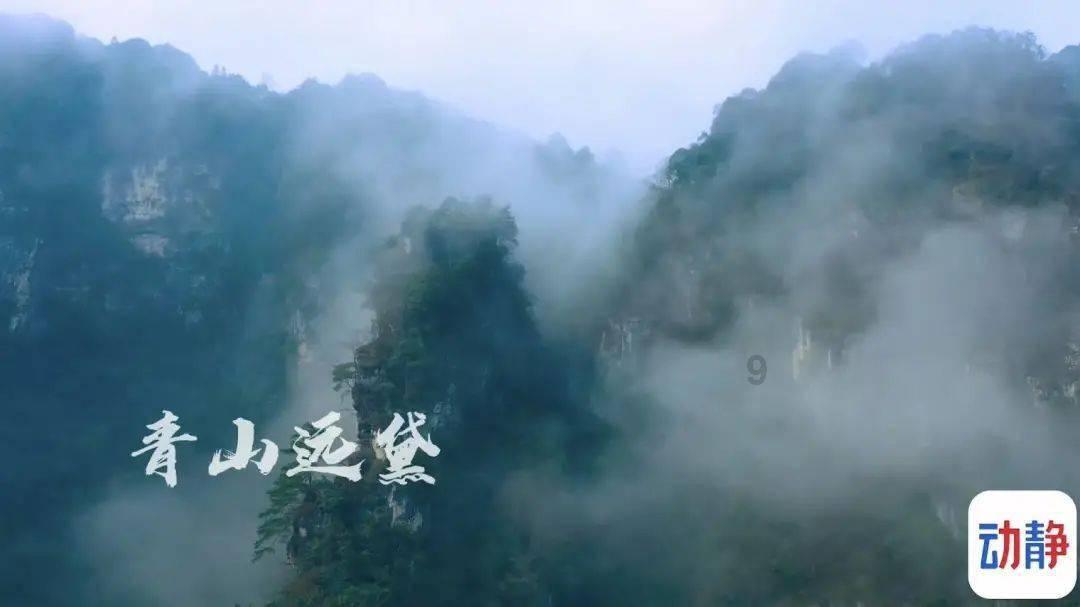 逃出白海豹洞