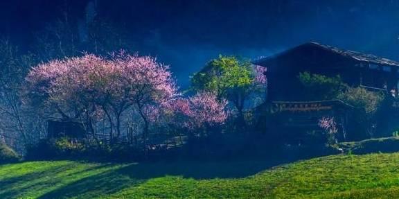李家超:已与深圳市达成春节期间“通关”特别安排