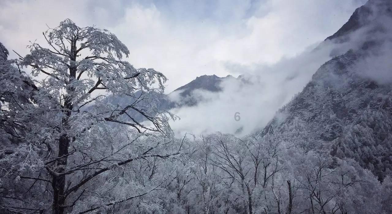 星球探险家