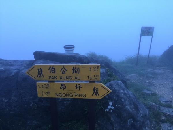 合金装备：幸存