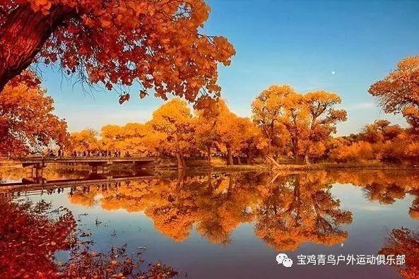 郑州市人民政府关于加强2024年春节期间烟花爆竹安全管理的通告