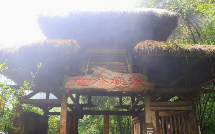 喜迎新春 乡村龙主题艺术展年味儿浓