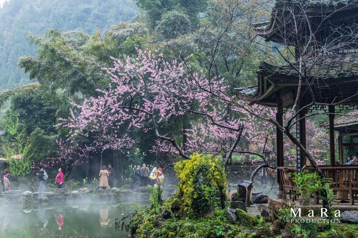 美图秀秀下载2023最新版