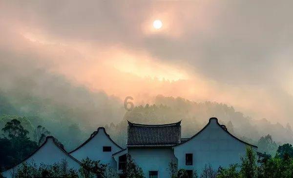 营救森林中的夫妇