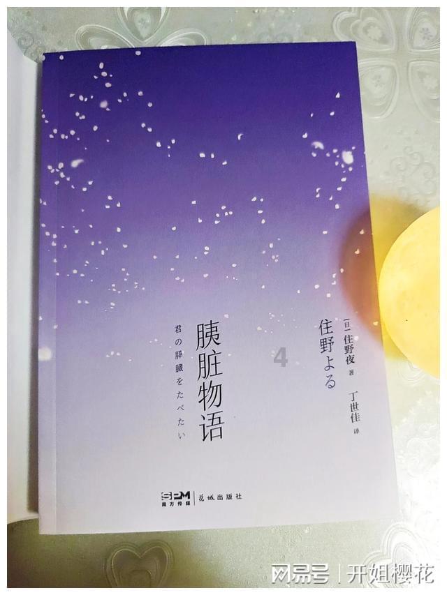 创作猫