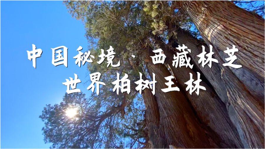 乌鲁木齐环保展/2024第五届新疆亚欧国际节能环保博览会