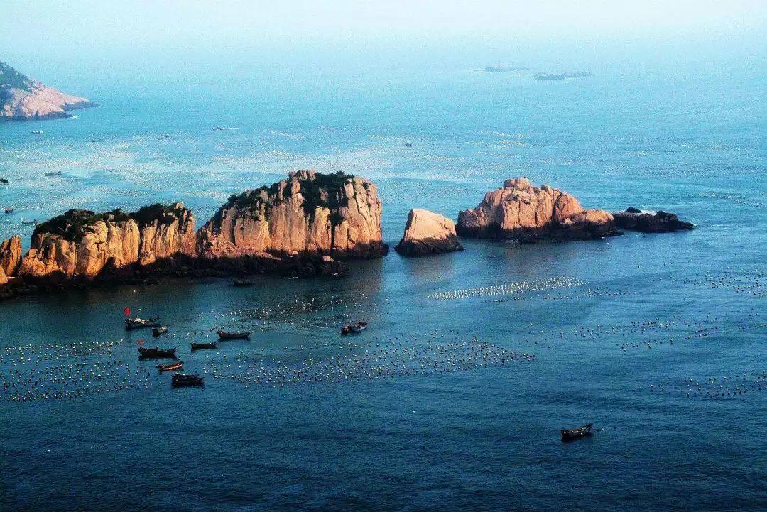 虫虫助手下载