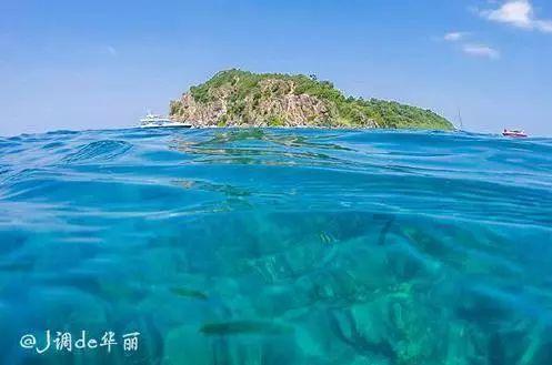 豆娃爱糖果3