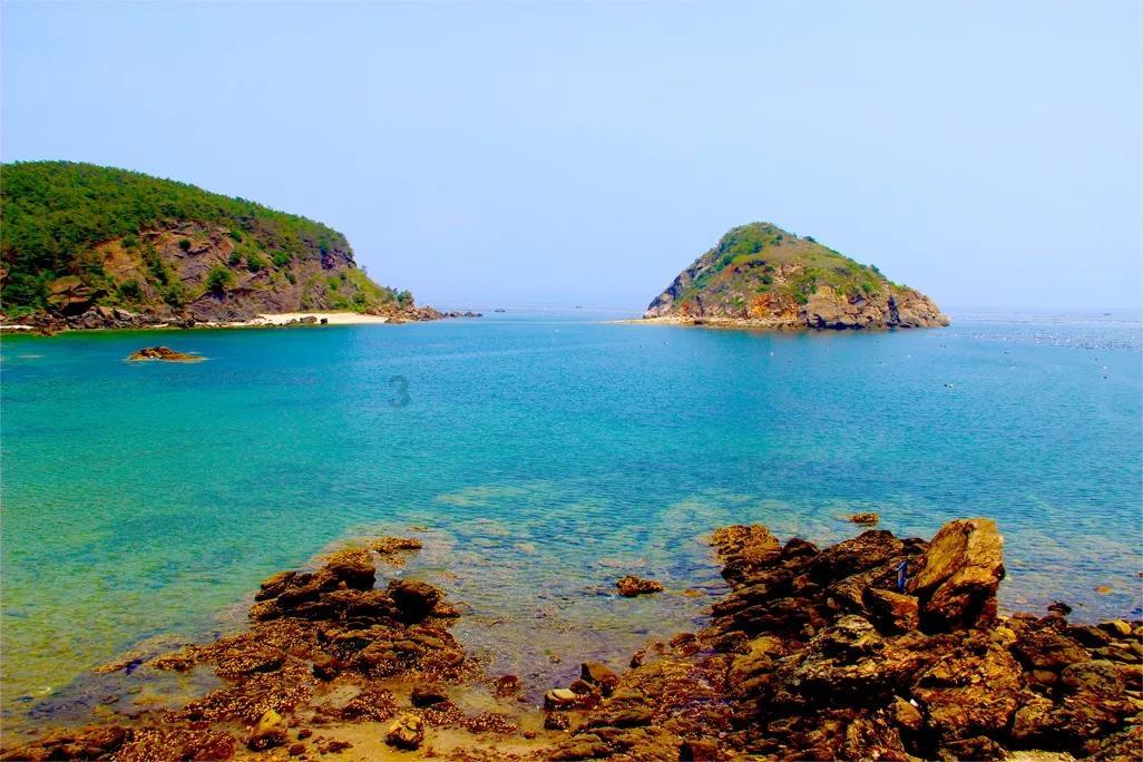 沪江开心词场