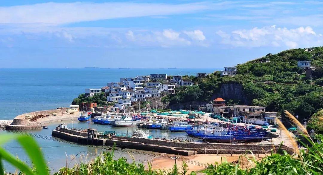 虫虫助手下载