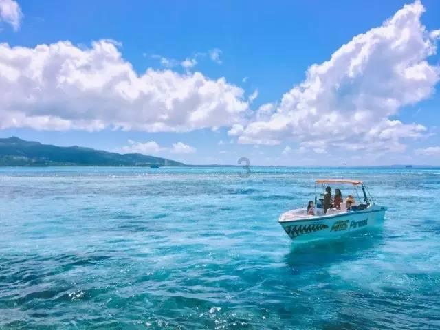 沪江开心词场
