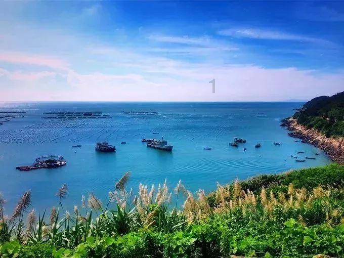 深海迷航