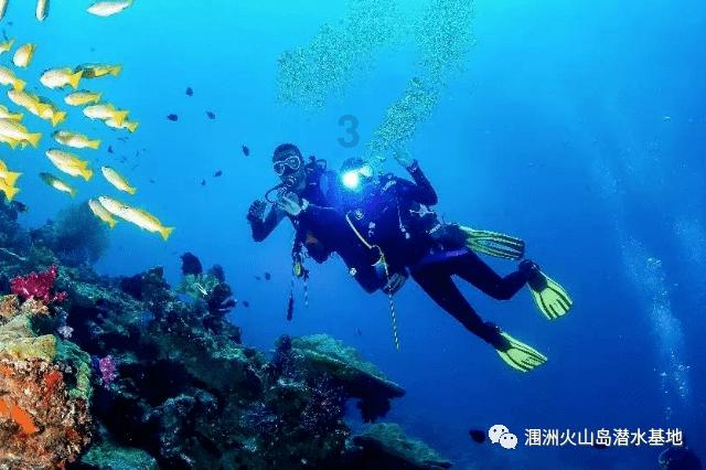 逃出漂亮花谷
