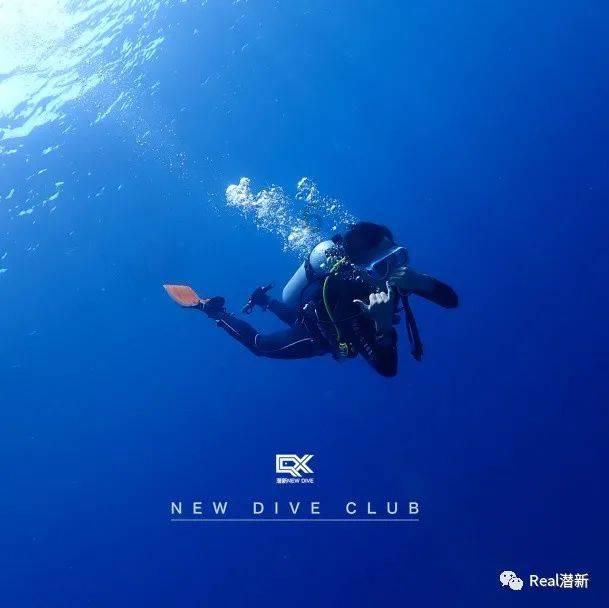 88影视