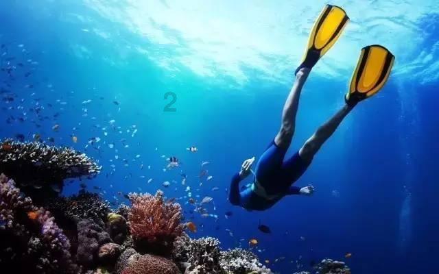 成交额超500万元!2024海南首场明清瓷器拍卖会举行