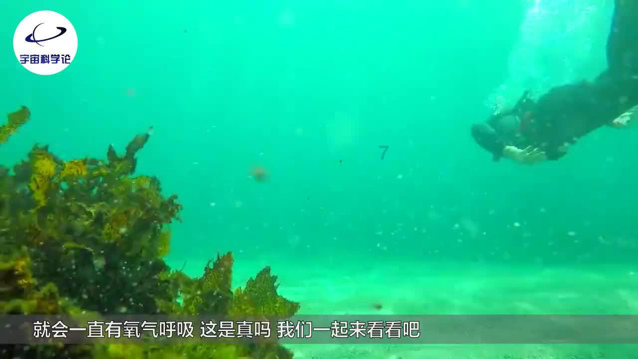 矮人国之战3中文版