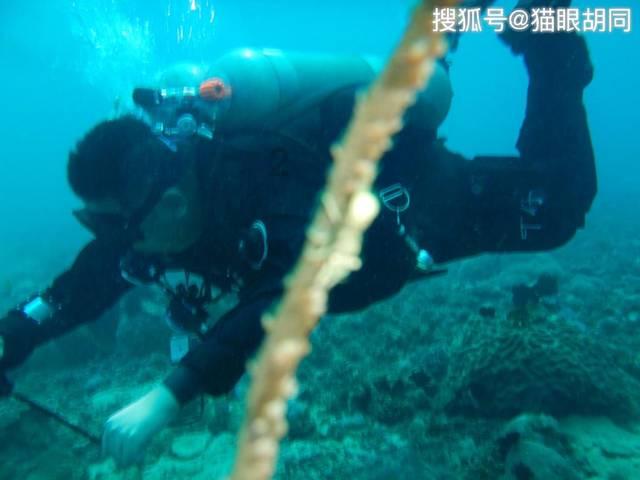 妙鸭相机app下载官网